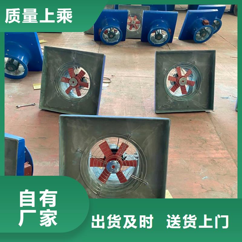规格齐全的防雨排热气风帽基地