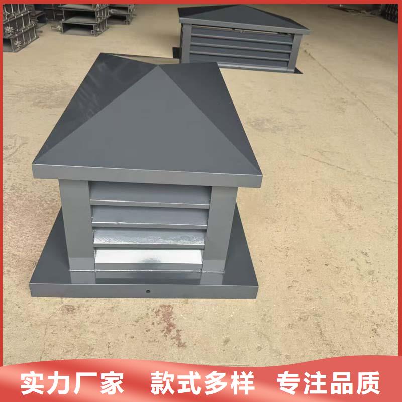 F-FM-WM型风帽实体大厂