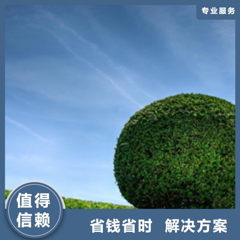 工程预算分公司