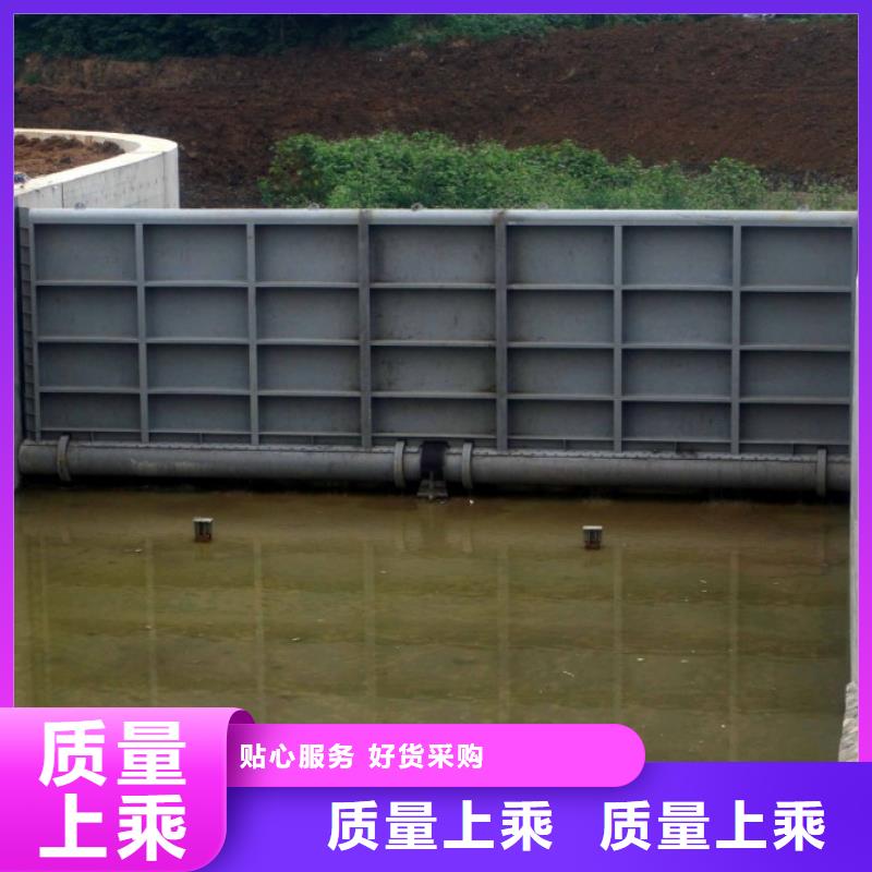 供应优质钢坝
