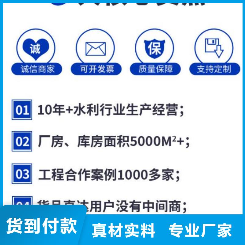  截流井闸门多种场景适用