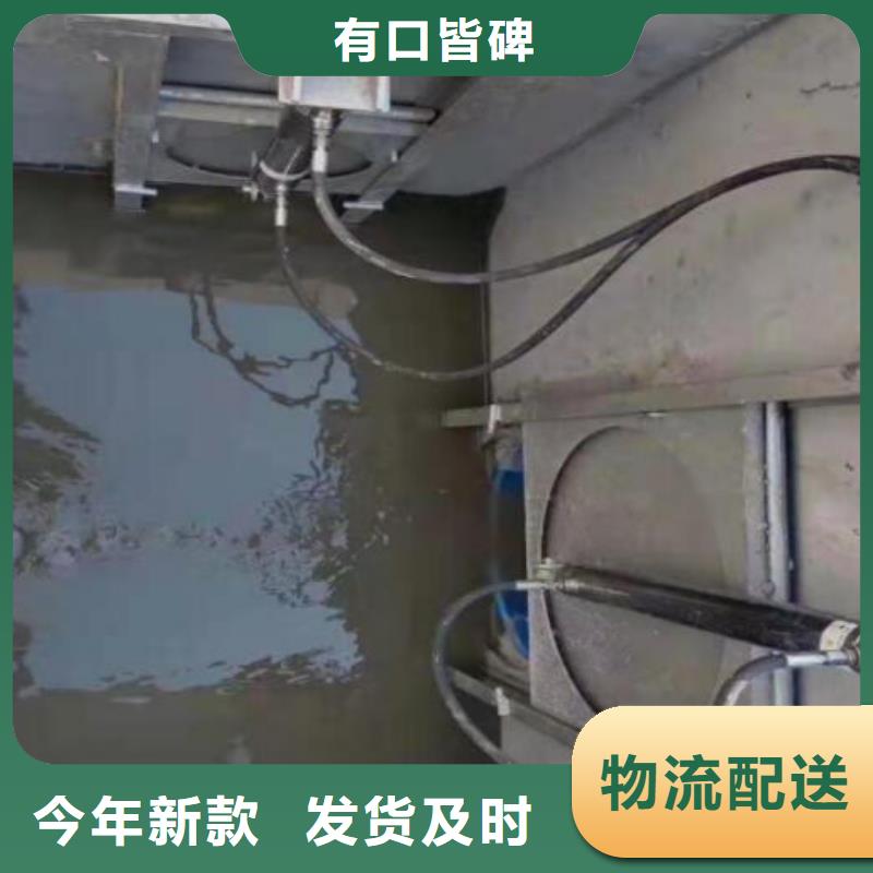 截流井闸门液压翻板闸坝支持非标定制