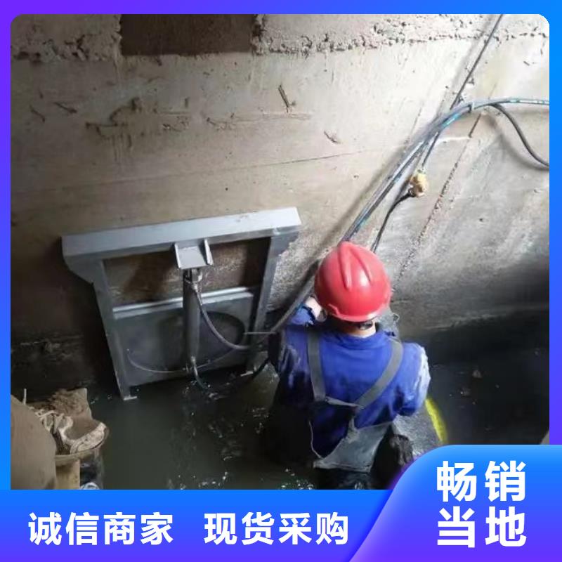 截流井闸门液压翻板闸坝支持非标定制