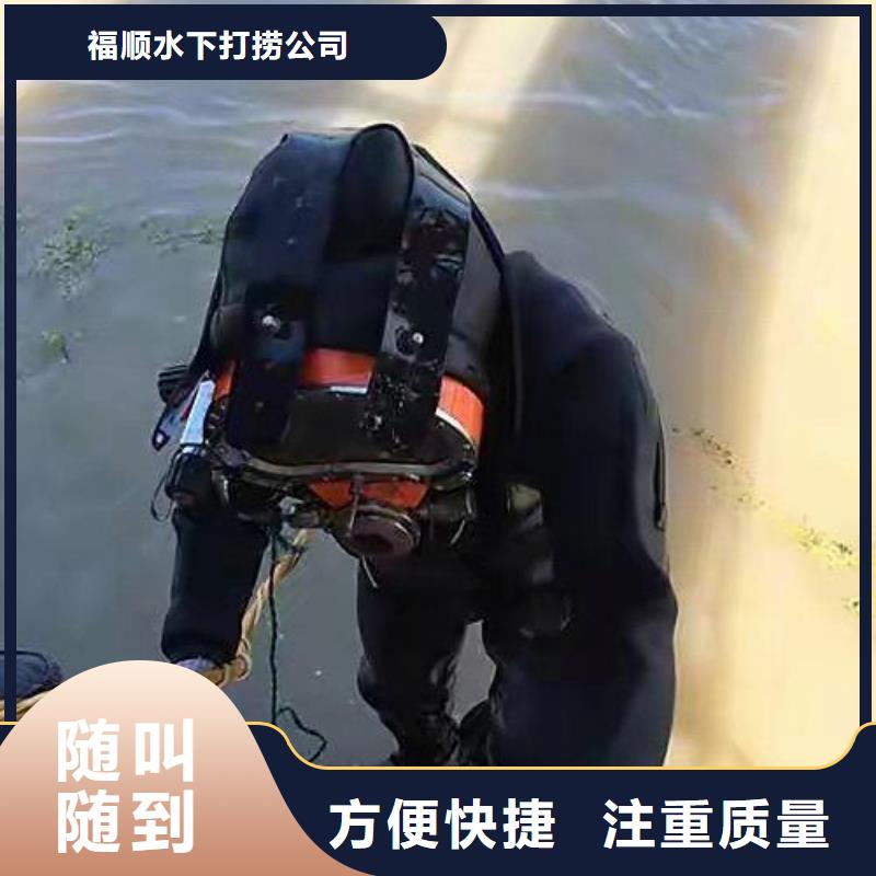 重庆市渝中区水下打捞貔貅



服务周到