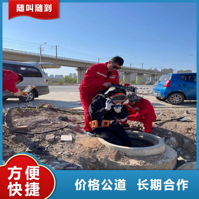 护坡破损模袋修复公司本地有吗