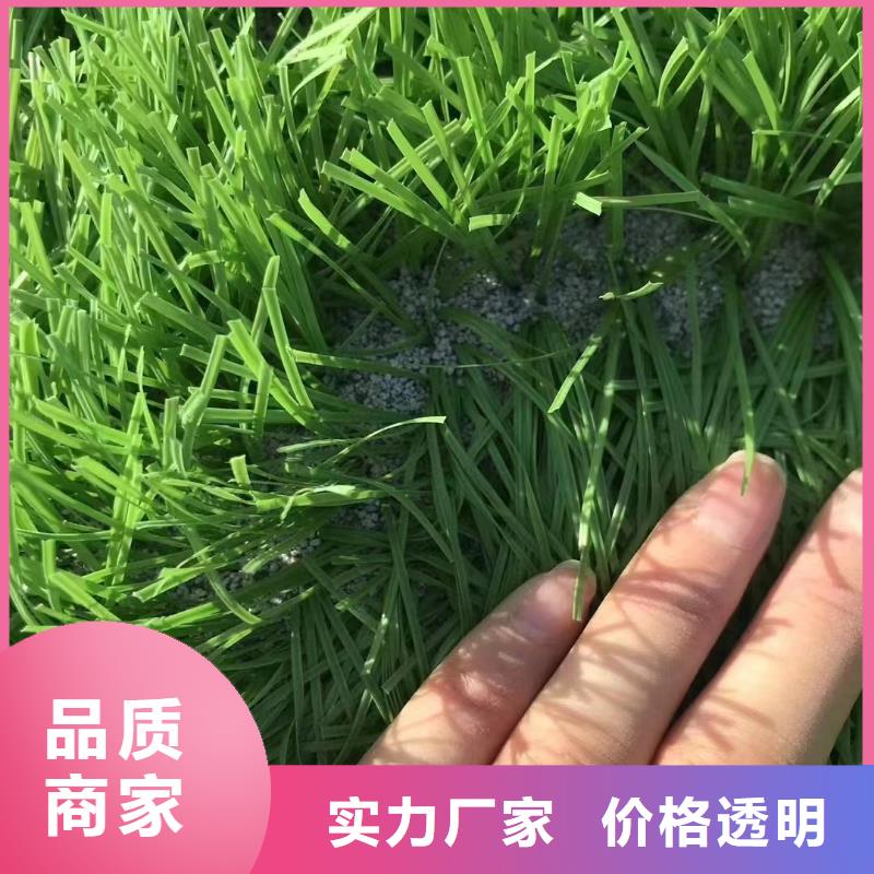 石英砂批发