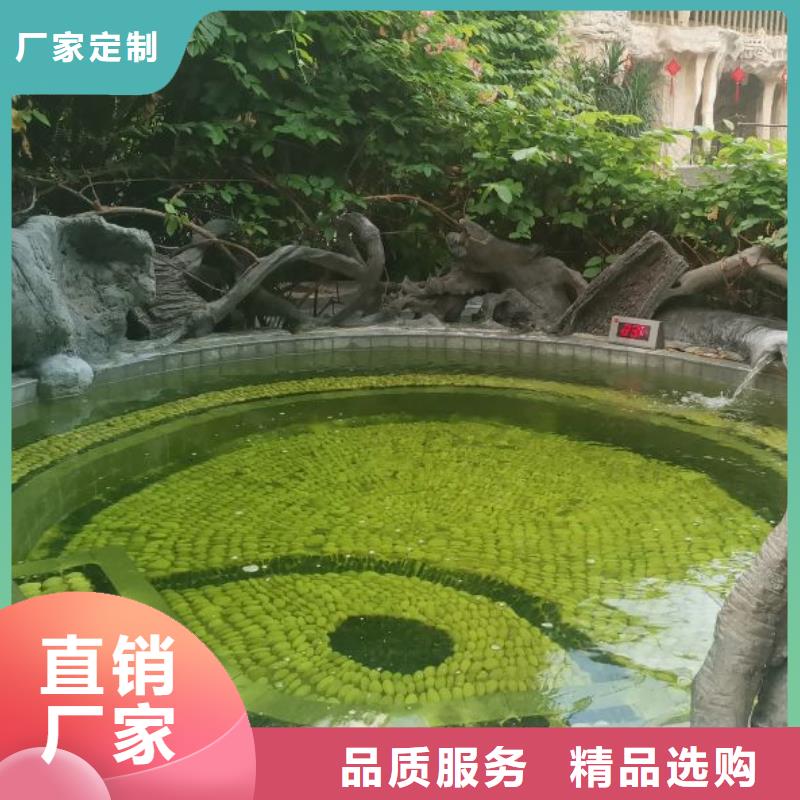珍珠岩过滤器智能厂家