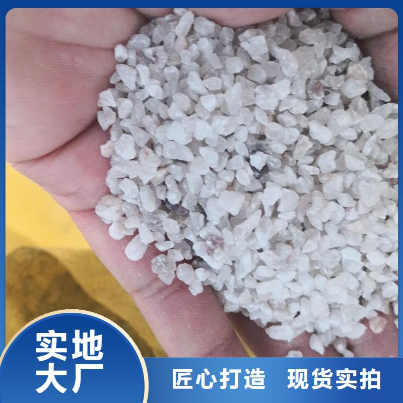定安县氨氮降解剂