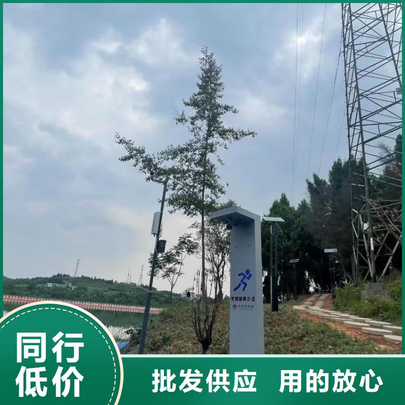 智慧智慧步道大屏实力厂商