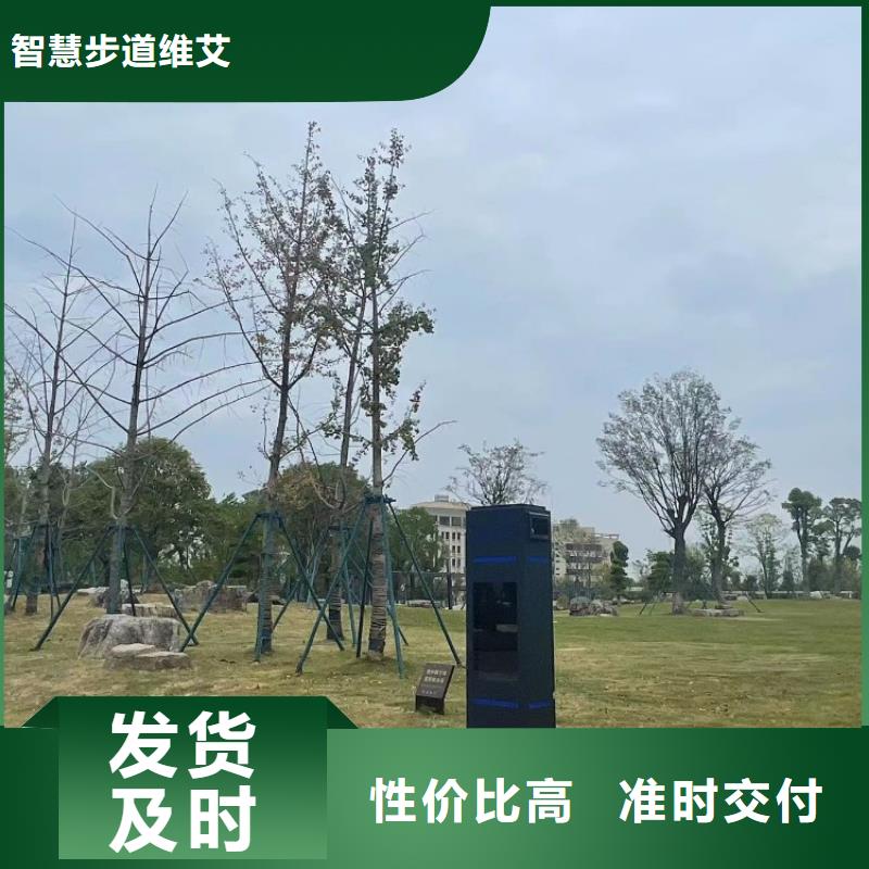 智慧公园解决方案价格（维艾狄尔）