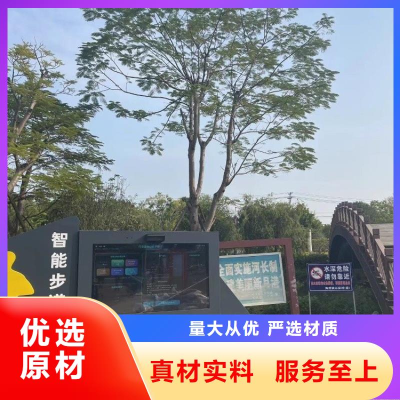ar体能互动大屏价格