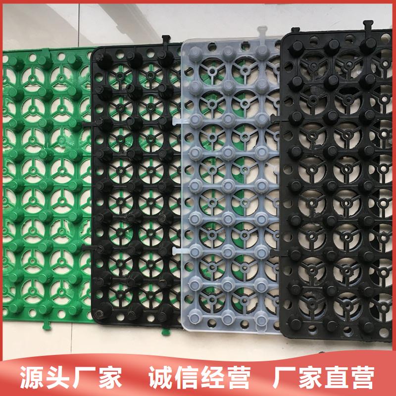 塑料排水板-本地供货商