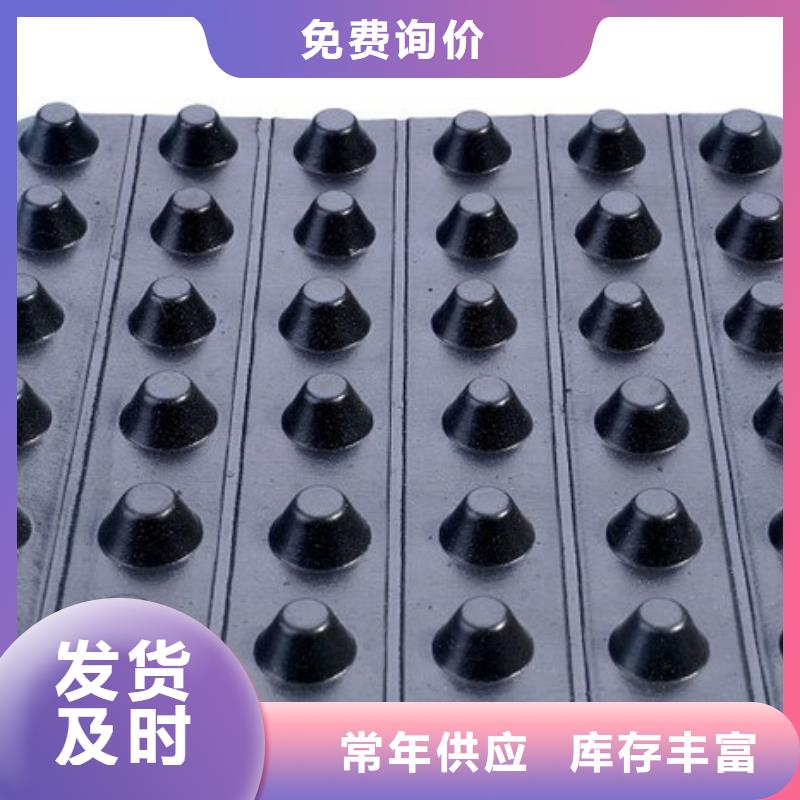 塑料排水板-本地供货商