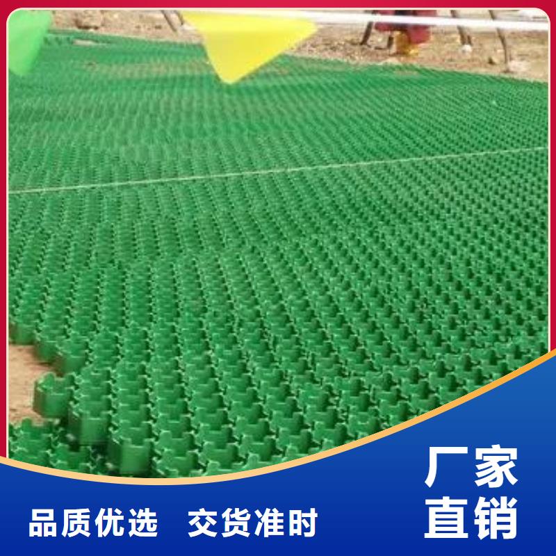 植草格水泥化粪池多年实力厂家
