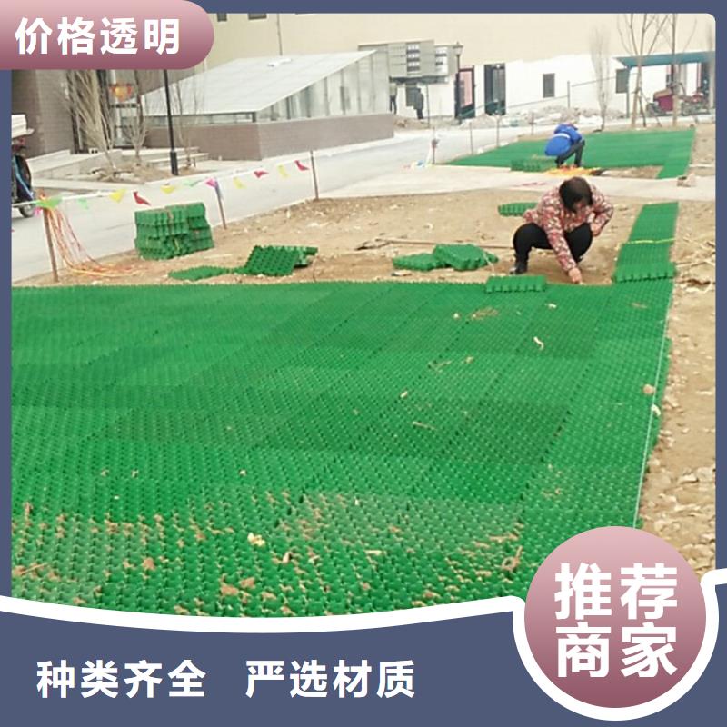 植草格水泥化粪池多年实力厂家