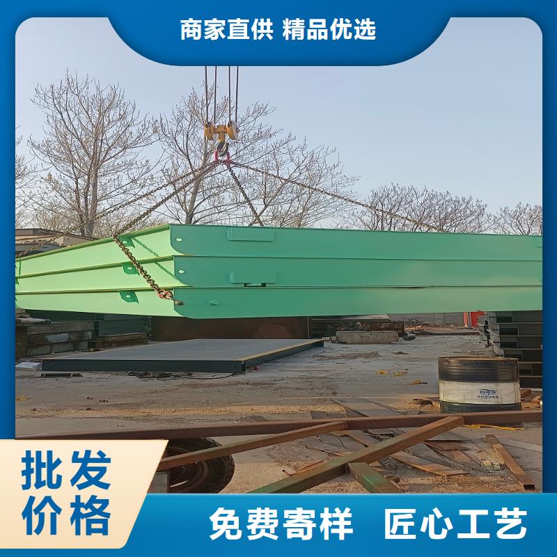 地磅-数字仪表厂家实力雄厚