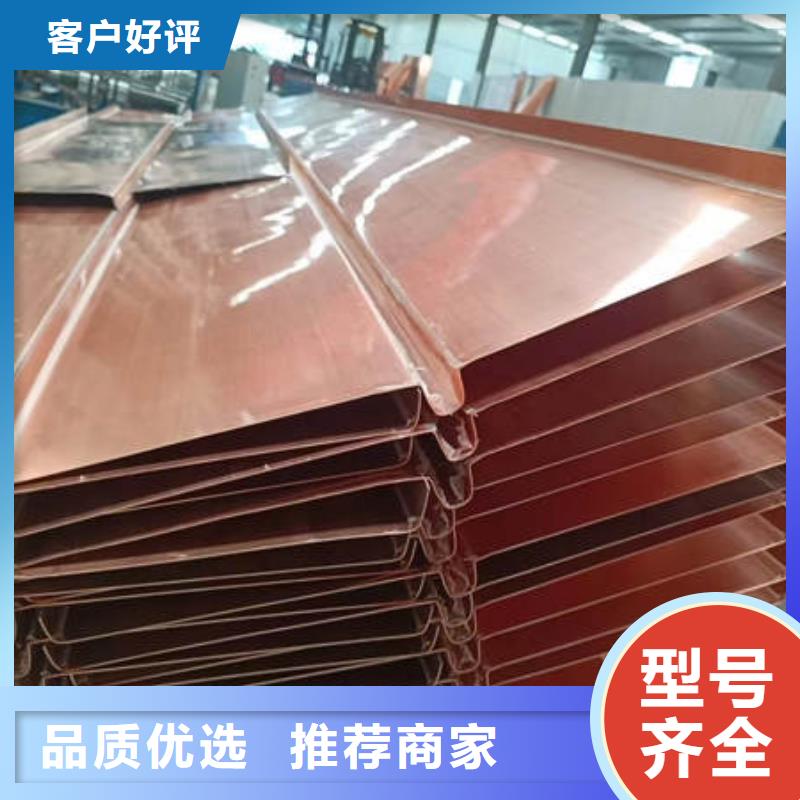 江苏淮安
铜片止水价格多少钱
