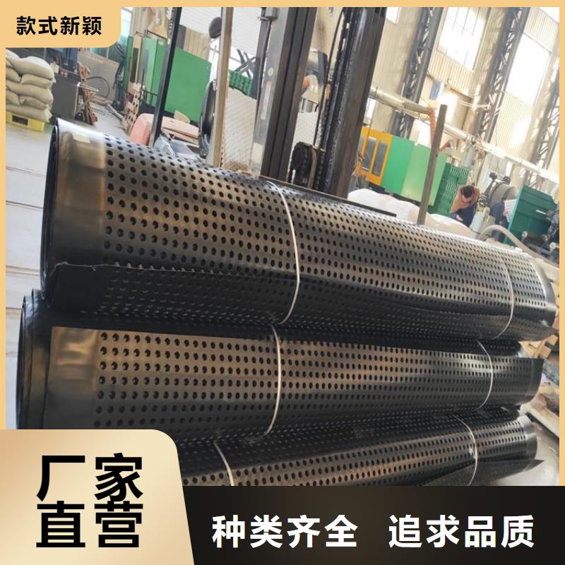 排水板土工膜厂家技术完善