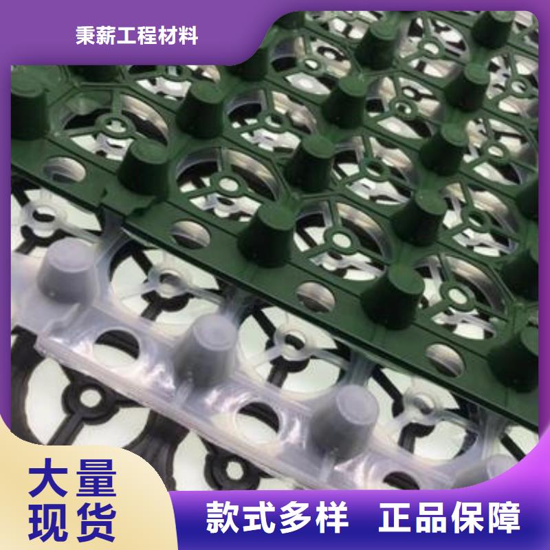 凹凸排水板——货到付款