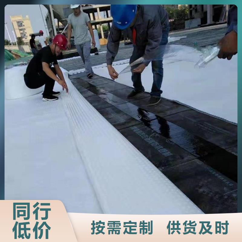 排水板土工膜厂家技术完善