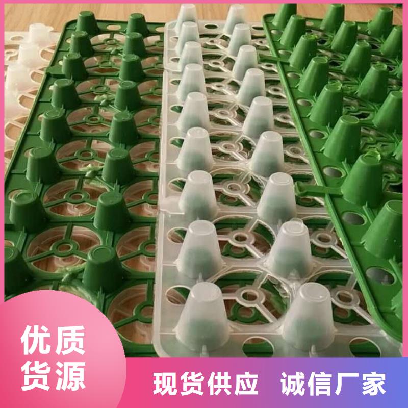 蓄排水板-来电议价