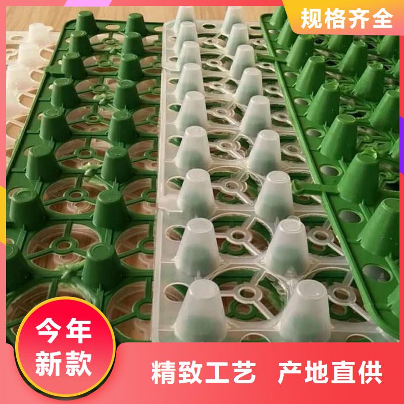 滤水板-一分钟报价