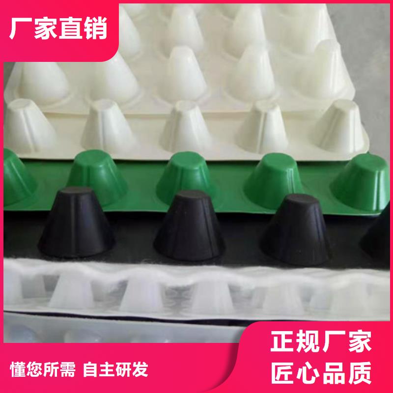 排水板-新型产品