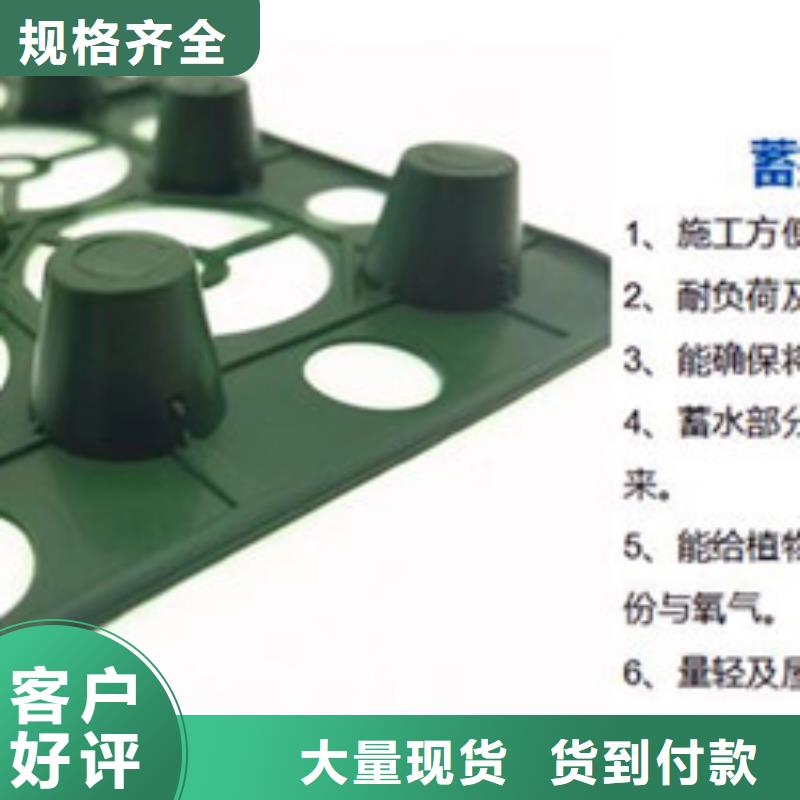  排水板信誉至上