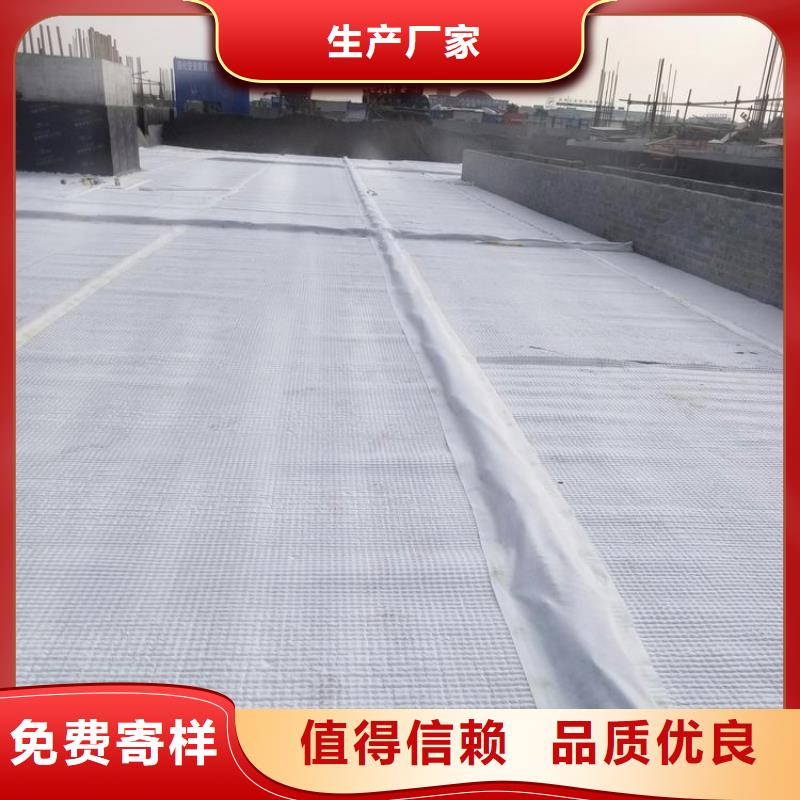 凹凸排水板——货到付款