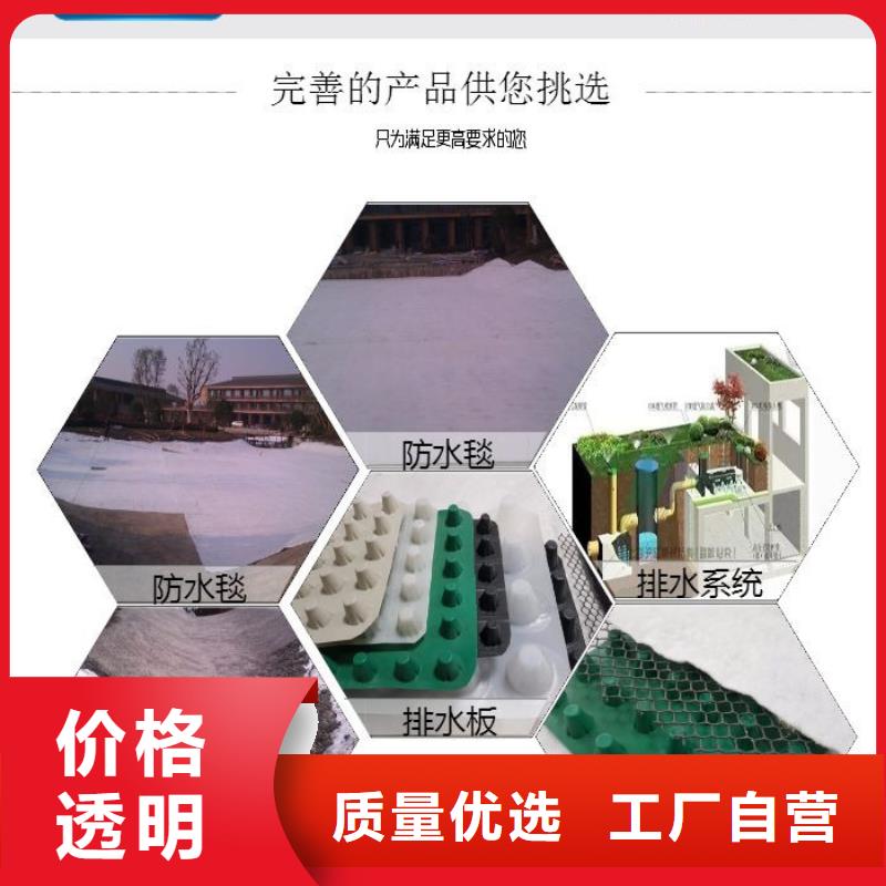 排水板蓄水板诚信为本