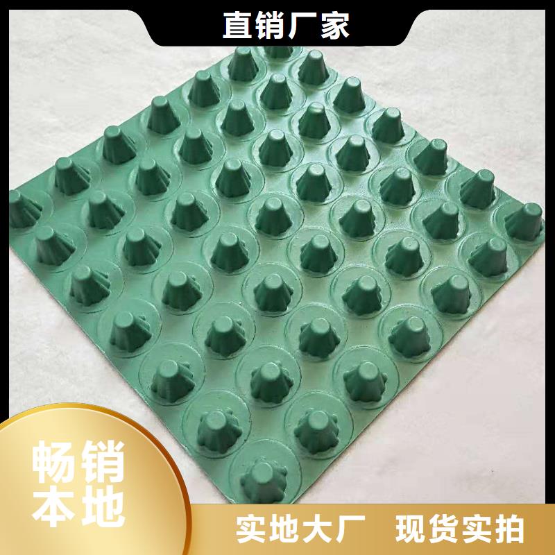 排水板蓄水板诚信为本