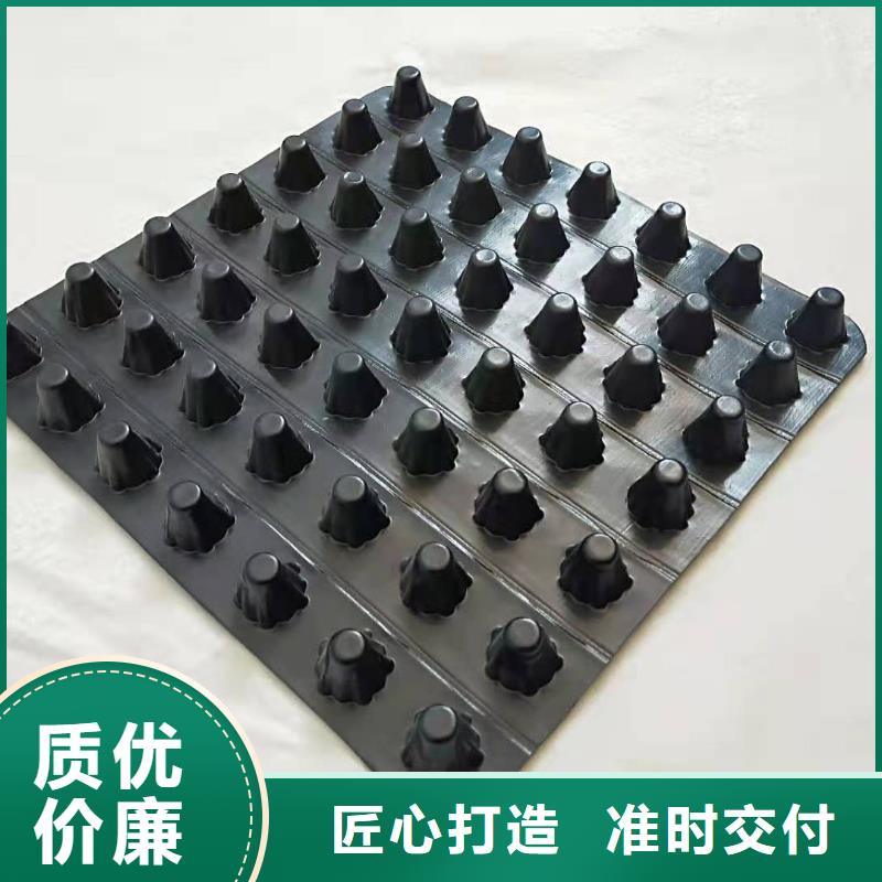高分子防护排水异形片价格——一分钟前更新