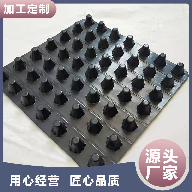 凹凸塑料排水板-货到付款