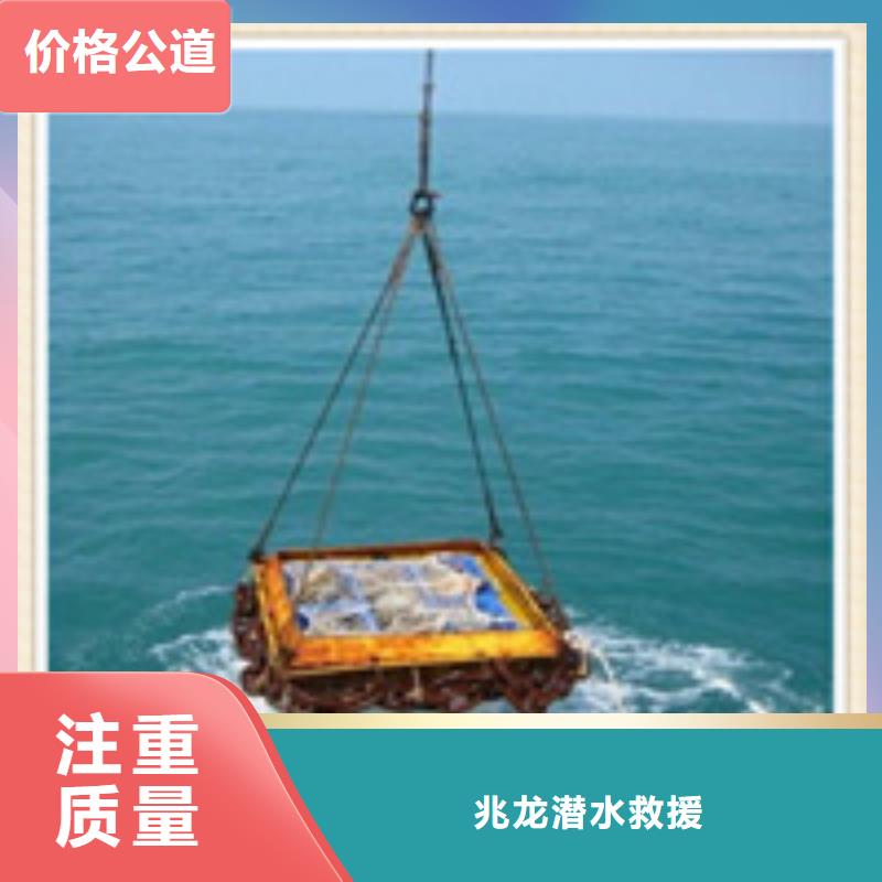湖北黄冈声呐价格（金口河）