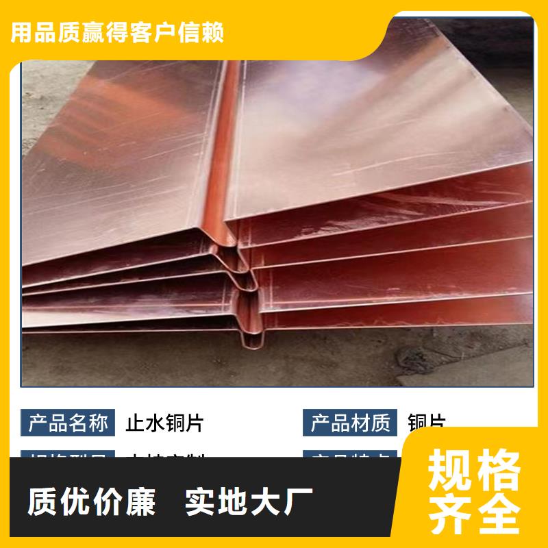 止水铜片,渗排水网垫厂家直销值得选择