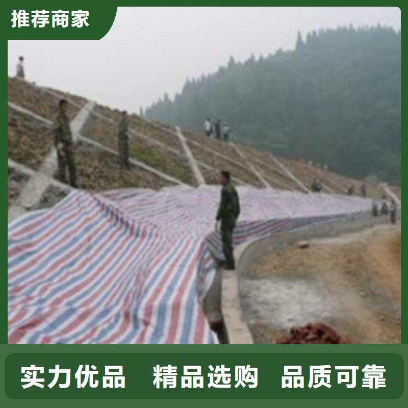 供应批发聚乙烯彩条布-大型厂家