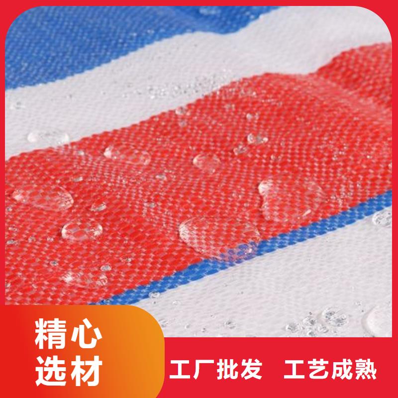 全新料彩条布自产自销