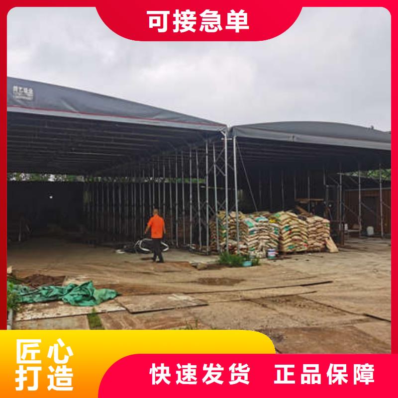 电动雨棚欢迎订购