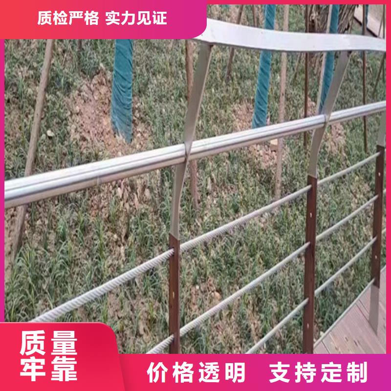 专注钢丝绳桥梁护栏销售