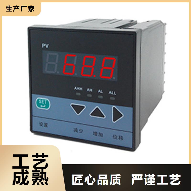 热电偶数控仪表厂家买的放心