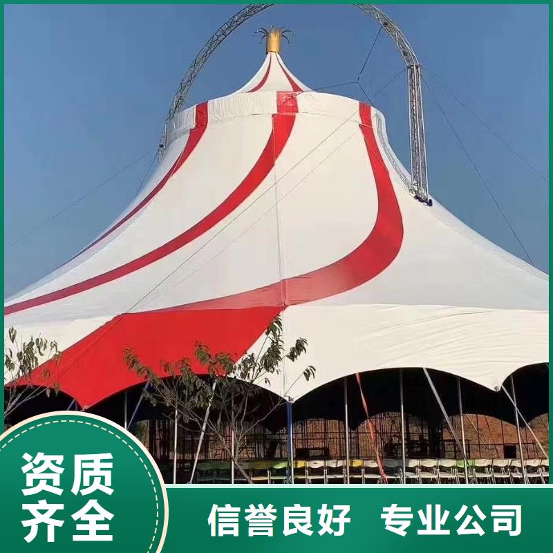 活体企鹅出租活动庆典