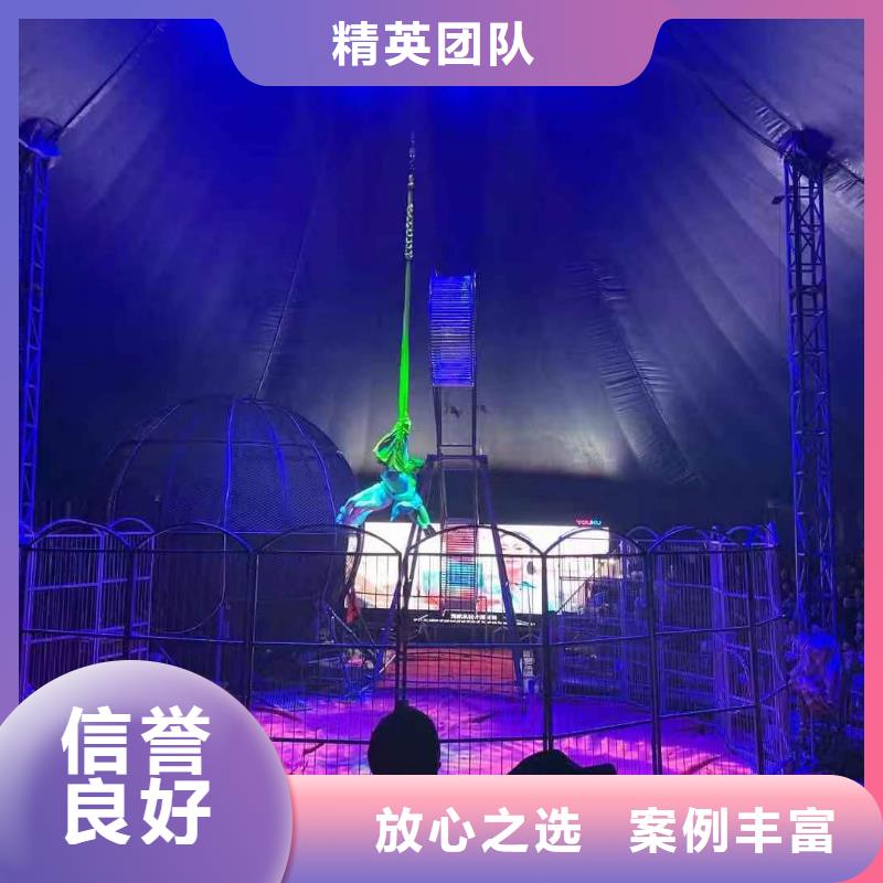 活体企鹅出租活动庆典