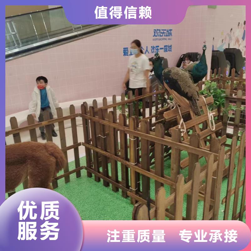 马戏团/羊驼【出租海狮表演】专业团队