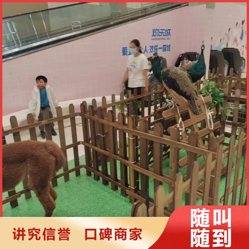 萌宠展出租公司欢迎您