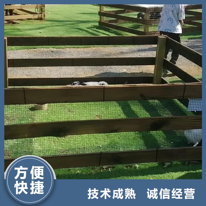 鹿岛活动出租实力强