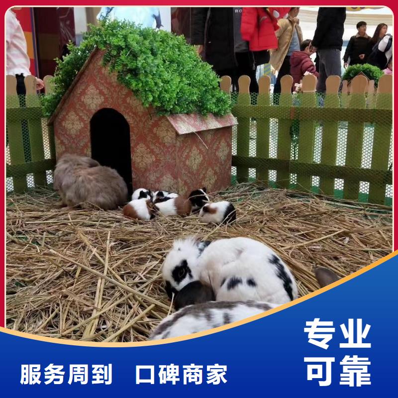羊驼出租点击查看