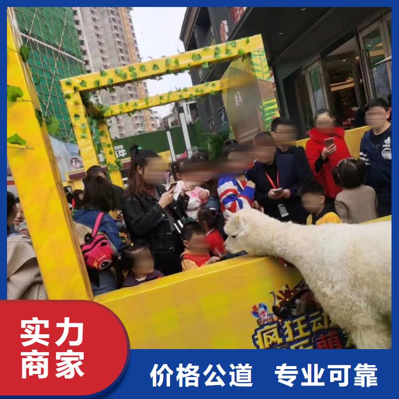 萌宠展出租公司欢迎您
