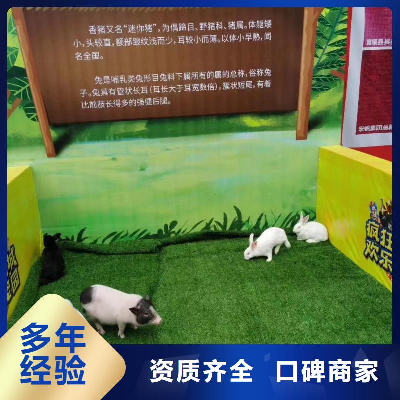 马戏团/羊驼出租动物表演正规公司