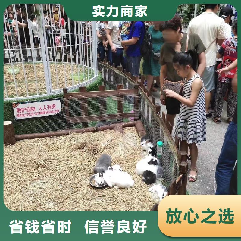 动物马戏团表演出租一手资源