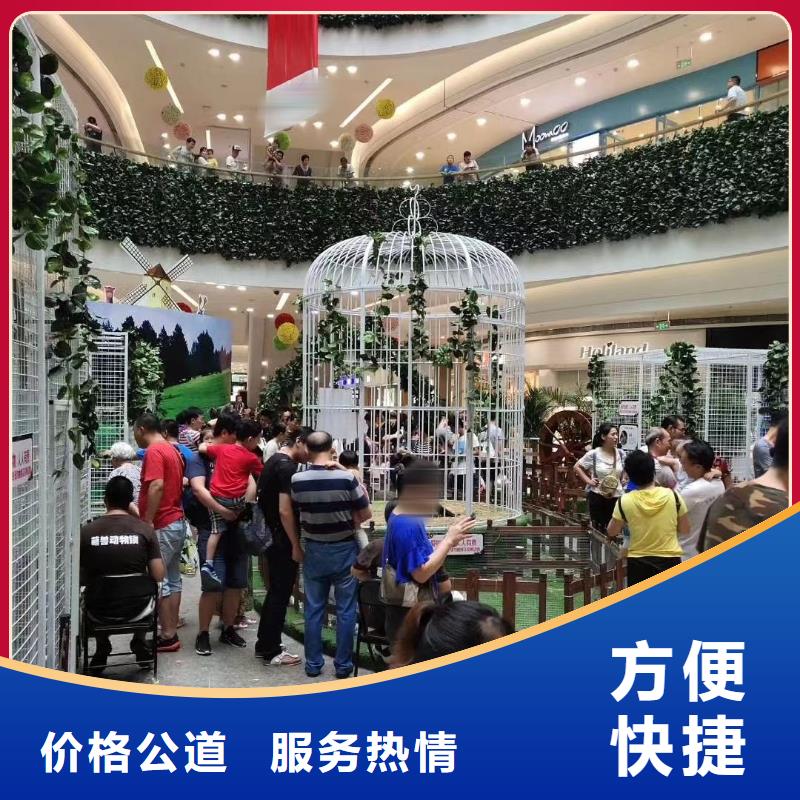 动物马戏团表演出租一手资源